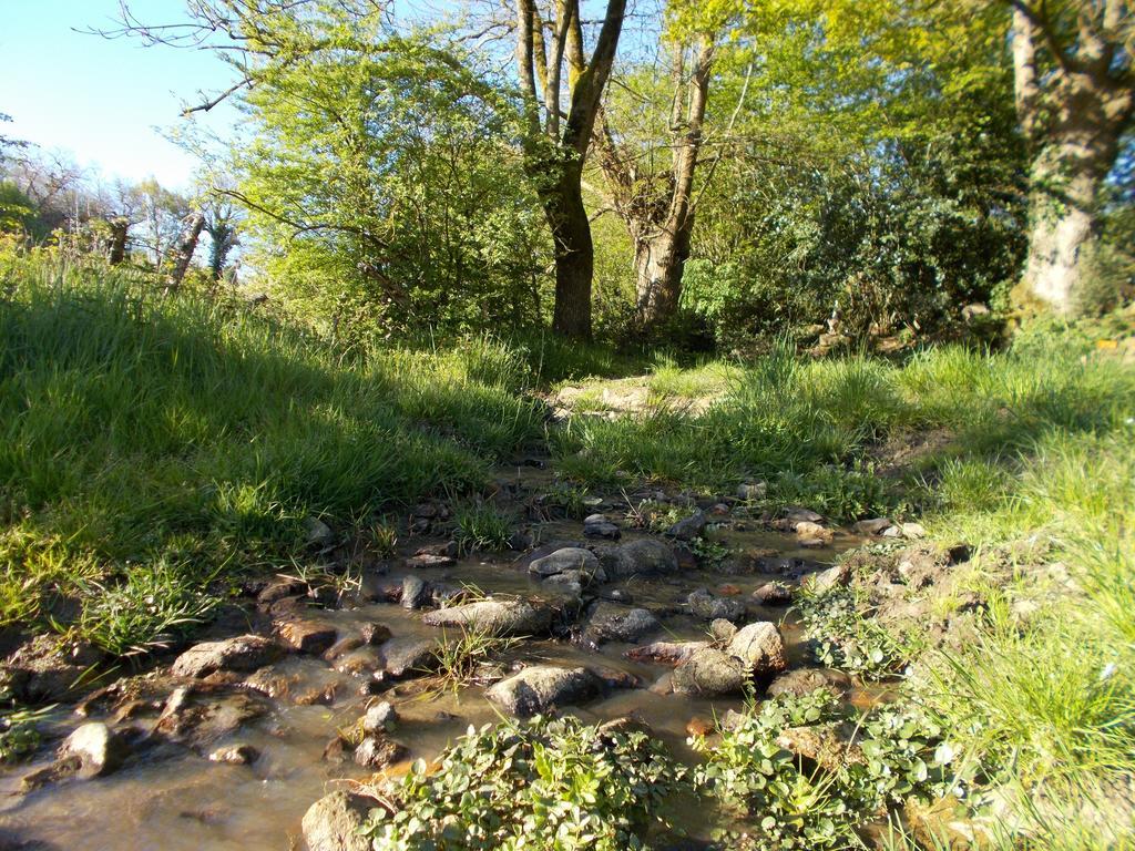 Terre Et Eau Gite Sevremont La Flocellière Εξωτερικό φωτογραφία