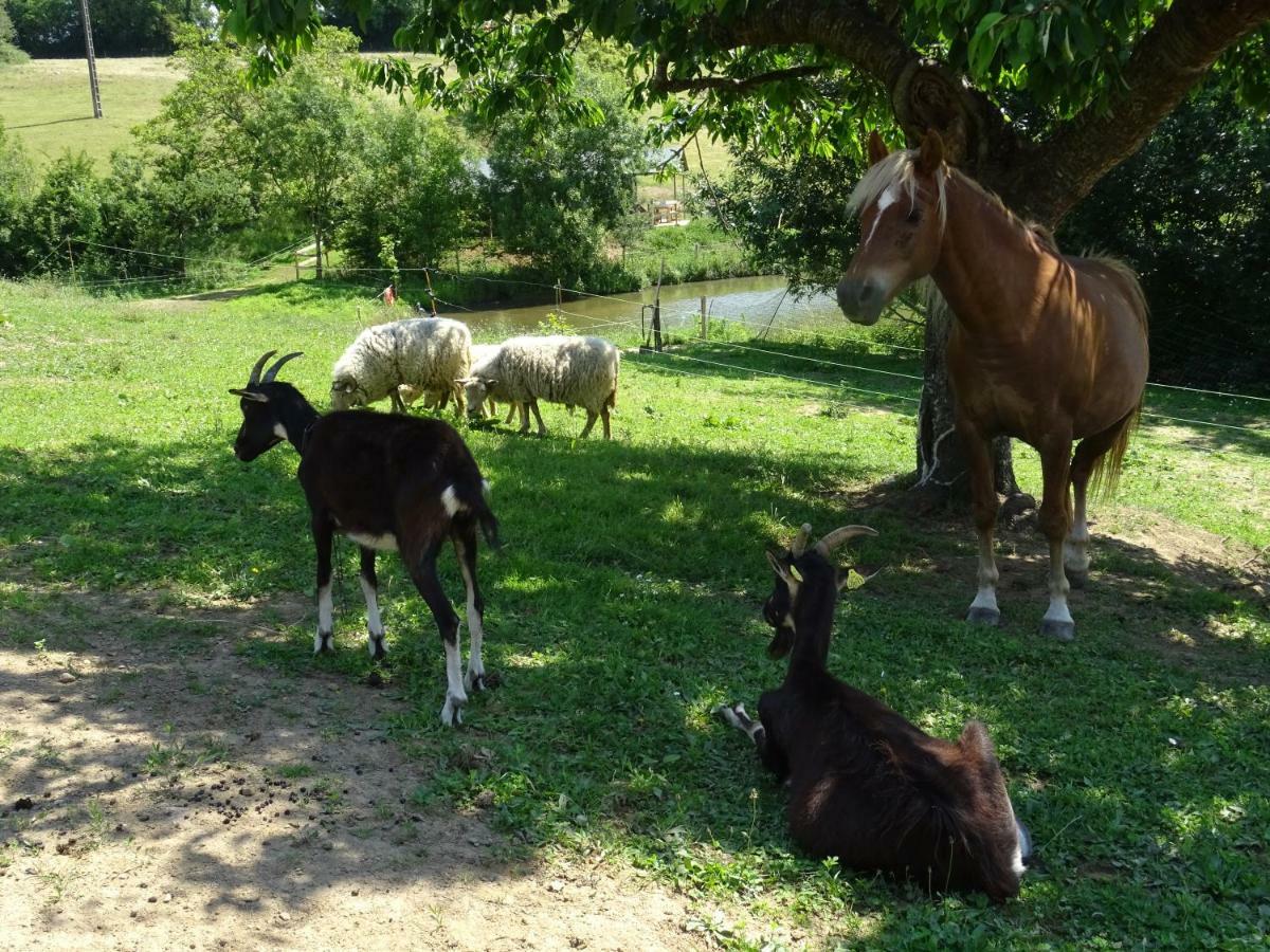 Terre Et Eau Gite Sevremont La Flocellière Εξωτερικό φωτογραφία